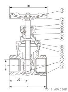 200PSI Stainless Steel Threaded Gate Valve