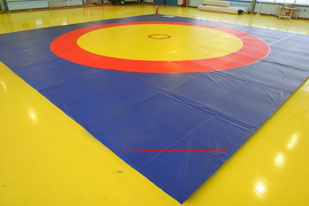 wrestling mat