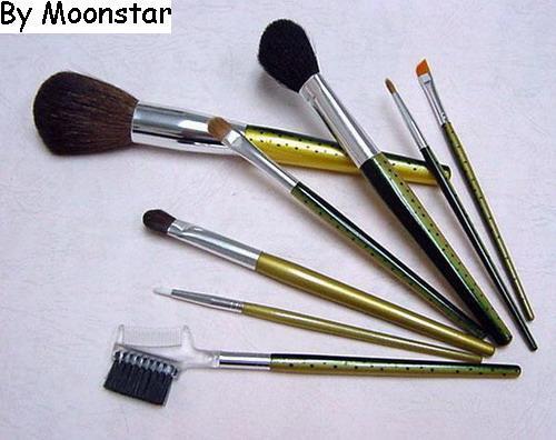 cosmetic brush set