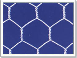 Hexagonal wire netting