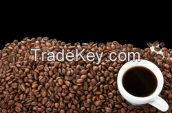 Arabica Coffee Beans - Mexico