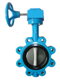 Worm Gear Lug Butterfly Valve