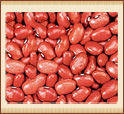 kidney beans