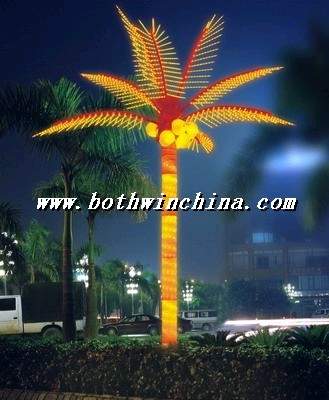 palm tree lights