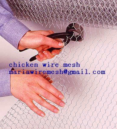 Hexagonal wire mesh , pvc coat hexagonal wire mesh