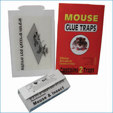 mouse glue traps