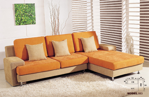 Modern leisure sofa(883)