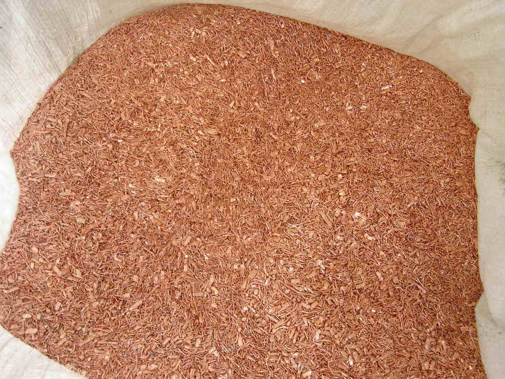 copper granules "CLOVE"