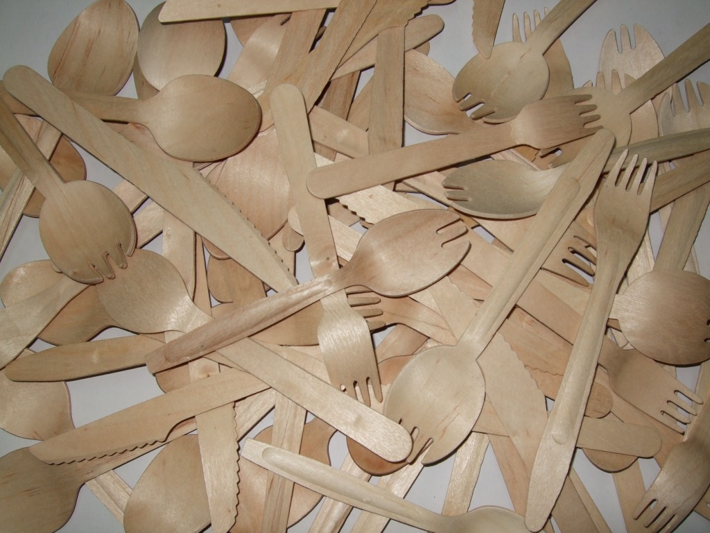 Wooden Disposable Cutlery