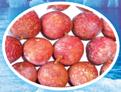 Frozen Lychees