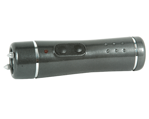 stun gun with torch