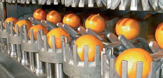 CITRUS FRUIT PROCESS PLANT/MACHINERY