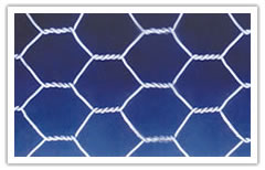 Galvanized/PVC Coated Hexagonal Iron Wire Netting