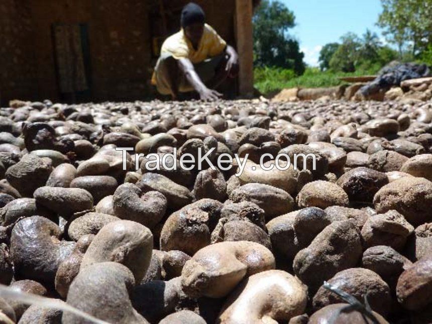 cashew nuts