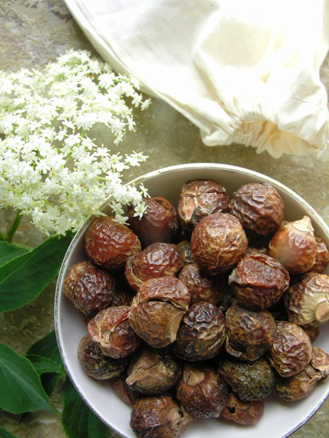 soapnuts