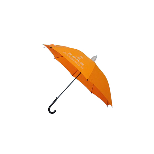 car umbrella