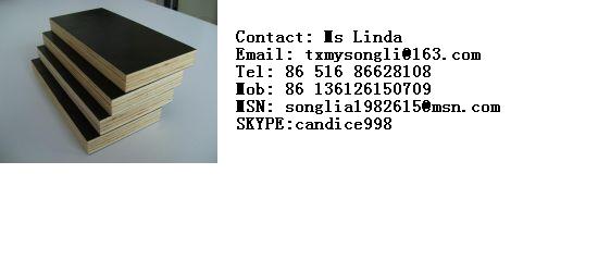 Commercail plywood (SKYPE: candice998)