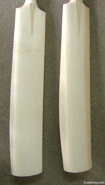 Cricket Bat