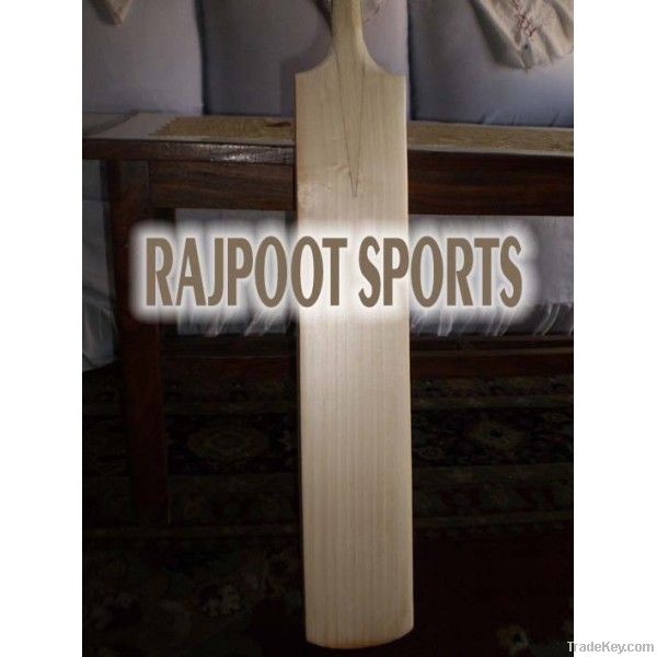 Plain Cricket Bat