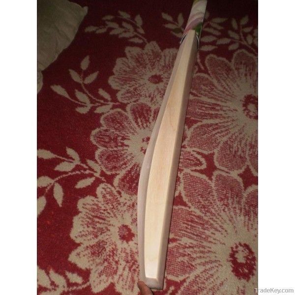 Plain Cricket Bat