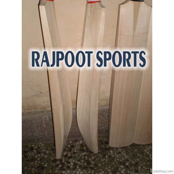 Plain Cricket Bat