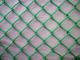 Low carbon steel wire mesh