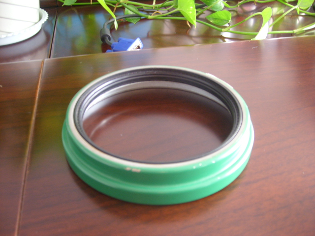 Oil Seal (engine, Shaft, Bearing, Auto Parts)