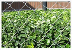 chain link fence