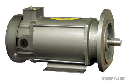 Permanent Magnet DC Motor