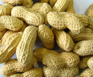 salted peanuts in shell