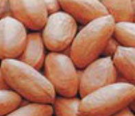 creamy peanuts