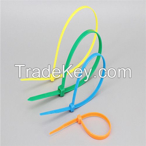 Nylon Cable Tie/self-locking Nylon Cable Tie/nylon Cable Ties/cable Ties