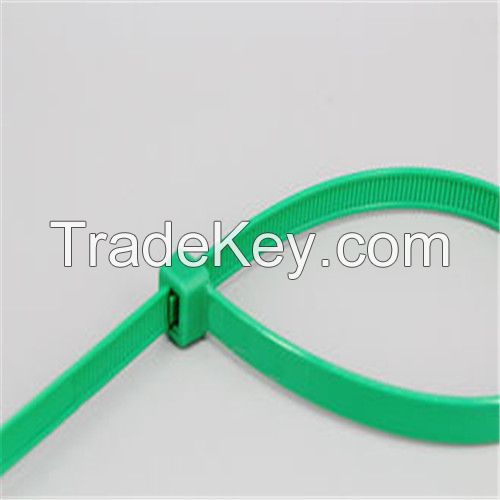 Nylon Cable Tie/self-locking Nylon Cable Tie/nylon Cable Ties/cable Ties