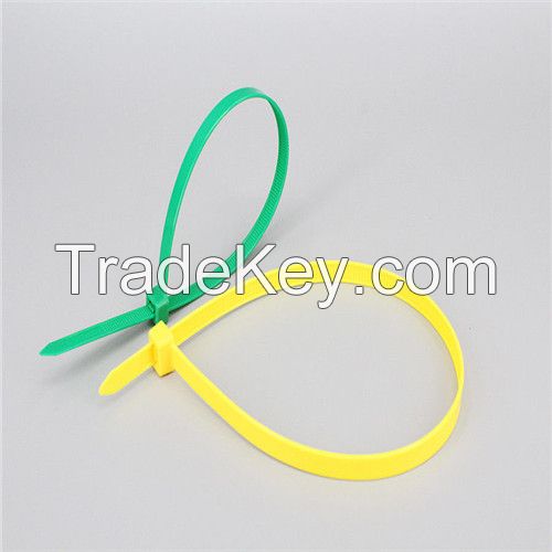 Nylon Cable Tie/Self-locking Nylon Cable Tie/Nylon Cable Ties/Cable Ties