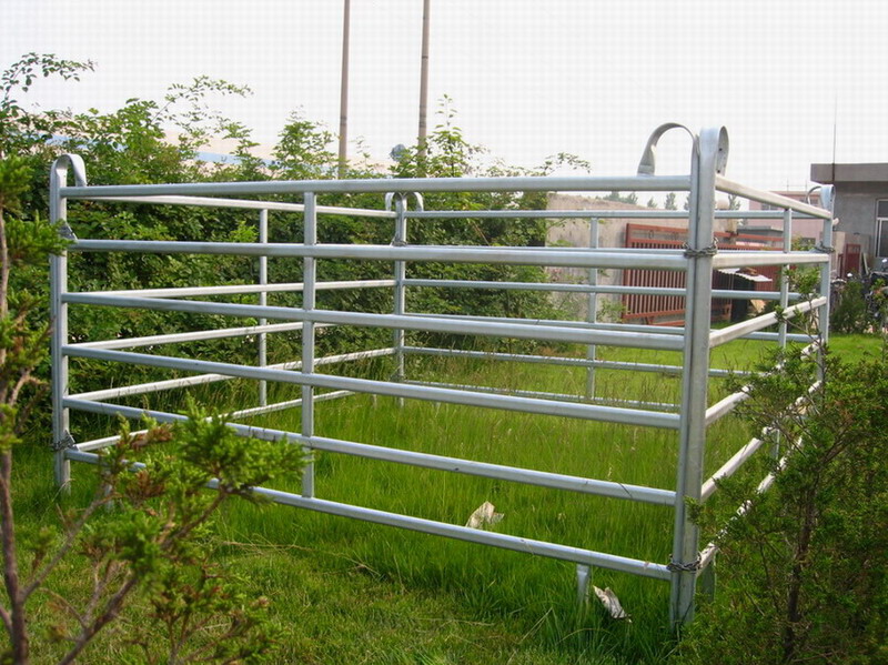 Livestock fence