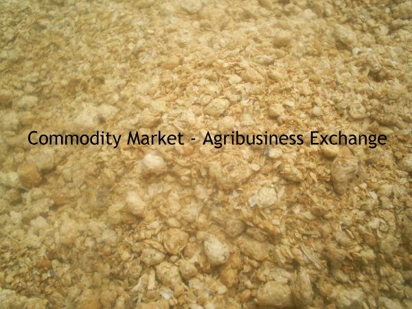 Soybean Meal, Soya Meal, Farelo de Soja, SOYABEAN MEAL, SBM