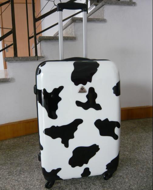 printing PC/ABS trolley case