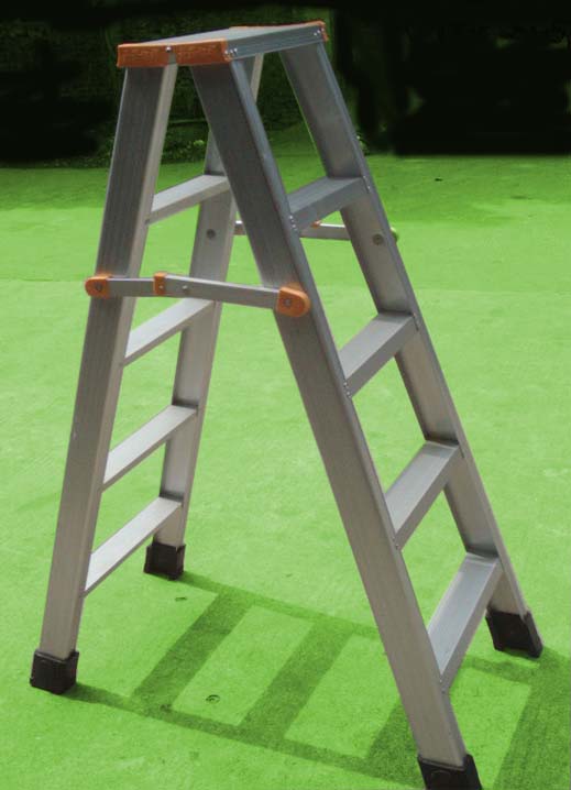 Aluminum ladder