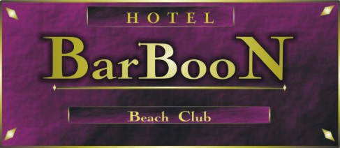 barboon hotel & beach club