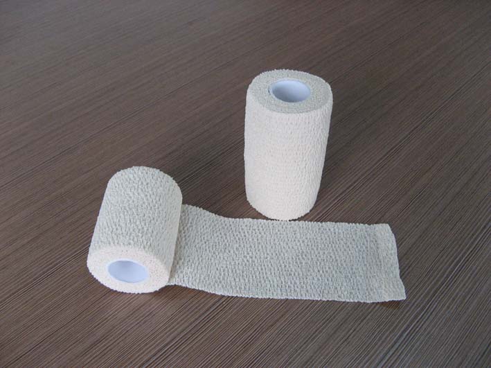 cohesive elastic bandage