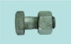 Hexagon Bolt with Hex Nuts for Steel Structures