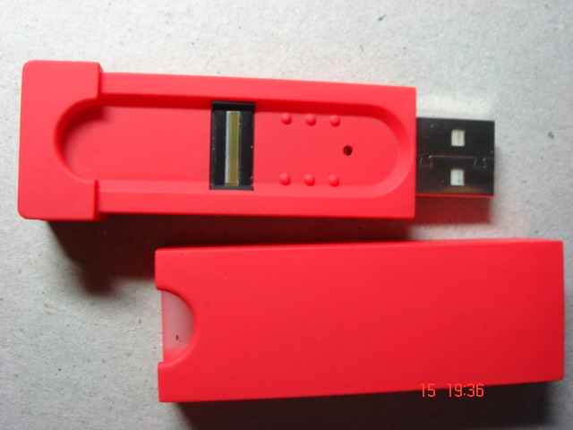 USB Flash Disk, finger print DGT