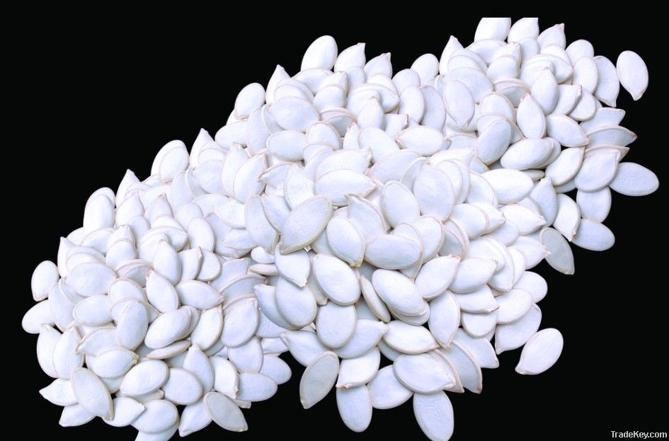 snow white pumpkin seed