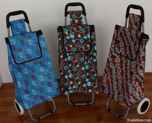 Foldable shopping trolley/shopping trolley bag