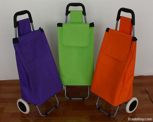 Foldable shopping trolley/shopping trolley bag