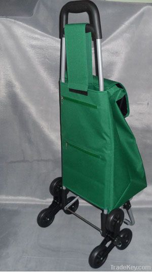 Foldable shopping trolley/shopping trolley bag