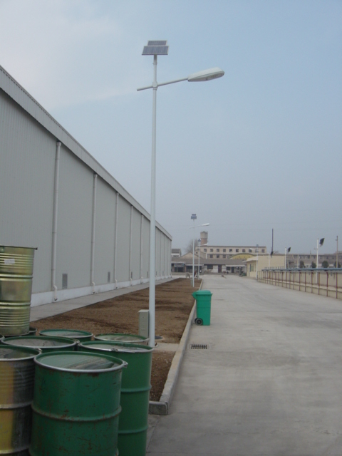 solar road/street light