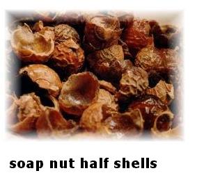 Soapnuts (Whole, Half shells and Powder)