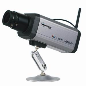 Wireless IP Cameras