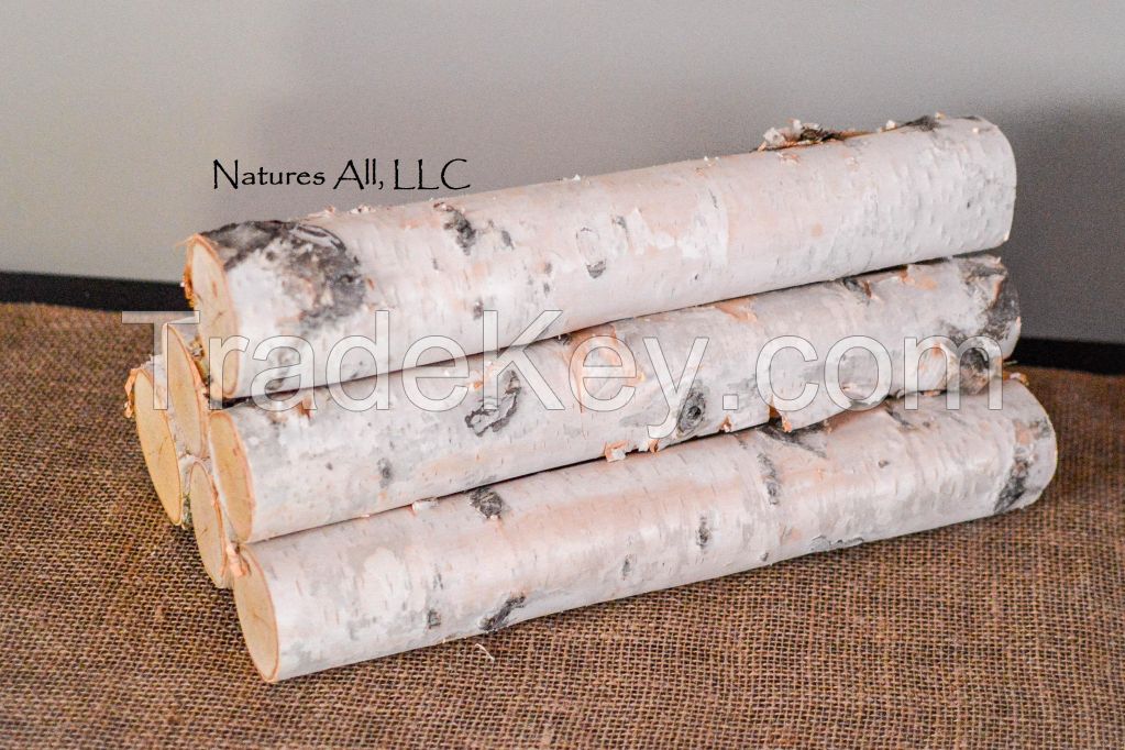 Decorative White Birch Logs/6 Piece Set For Home Dcor: